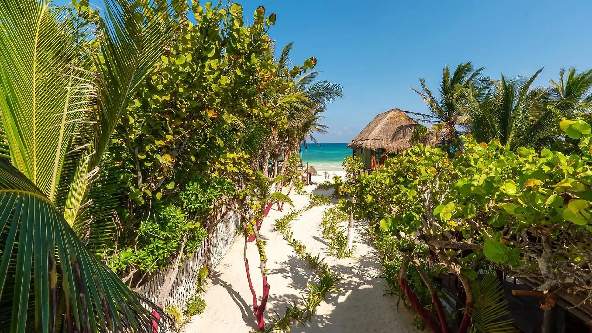 *** Bed & Breakfast Chancabanita Tulum Mexico
